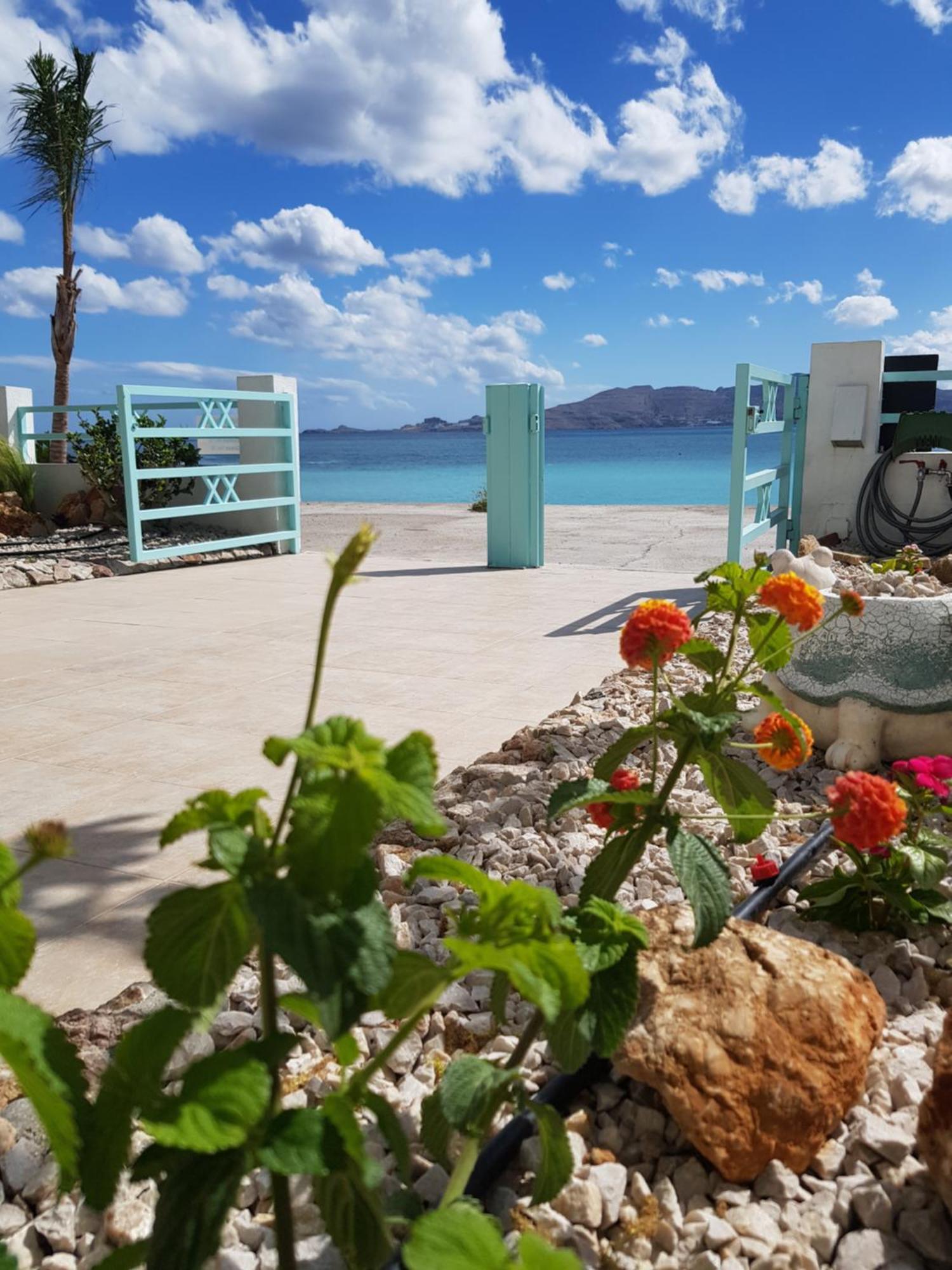Mare Front Apartament