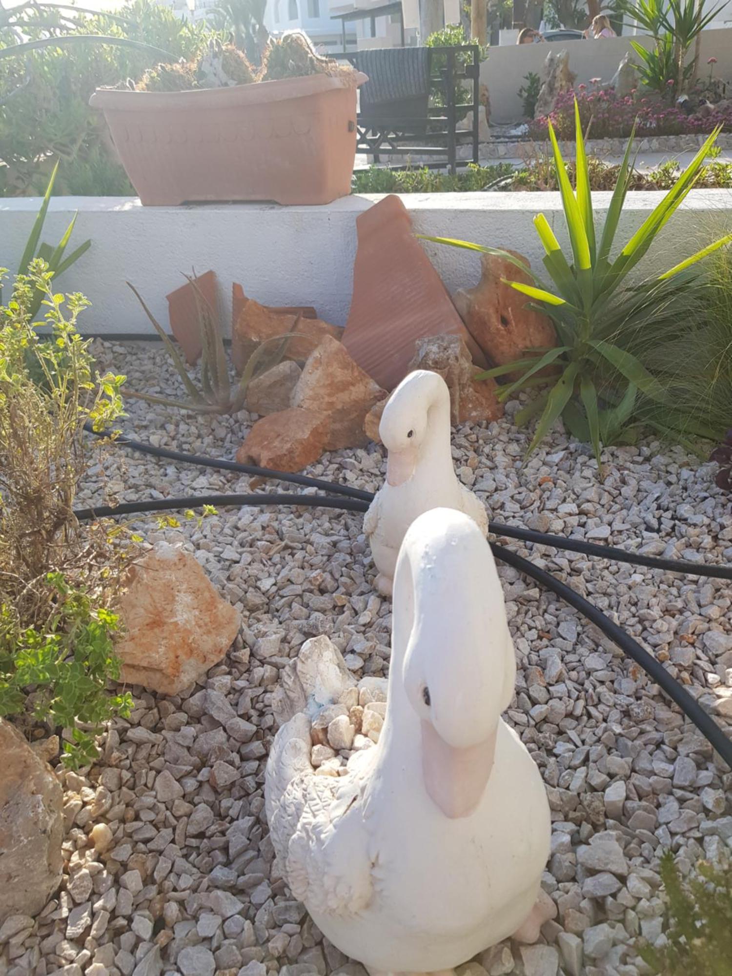 Mare Front Apartament *